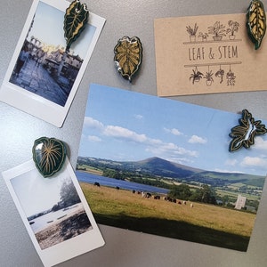 May include: A set of five green and gold leaf-shaped magnets with a gold glitter finish. The magnets are attached to a variety of photos and a card that reads "LEAF & STEM".