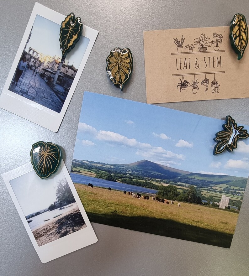 May include: A set of five green and gold leaf-shaped magnets with a gold glitter finish. The magnets are attached to a variety of photos and a card that reads "LEAF & STEM".