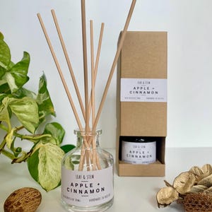 May include: A clear glass diffuser bottle with wooden reeds, labelled "LEAF & STEM APPLE + CINNAMON". A matching bottle is inside a brown cardboard box. The image also includes a seed and dried plant elements.