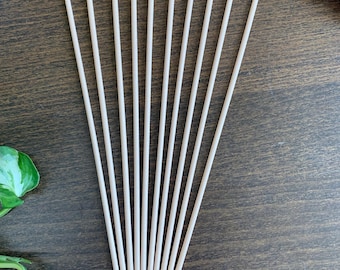 Fibre Reed Diffuserstäbchen - 10er, 20er oder 50er Pack | 20 cm x 3 mm Dicke Schilf | Schwarz oder Natur | Ersatzstäbchen für Zerstäuberflaschen