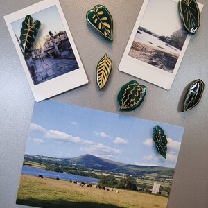 May include: A set of green and gold leaf-shaped magnets. The magnets are arranged on a silver surface with two photos in the background.