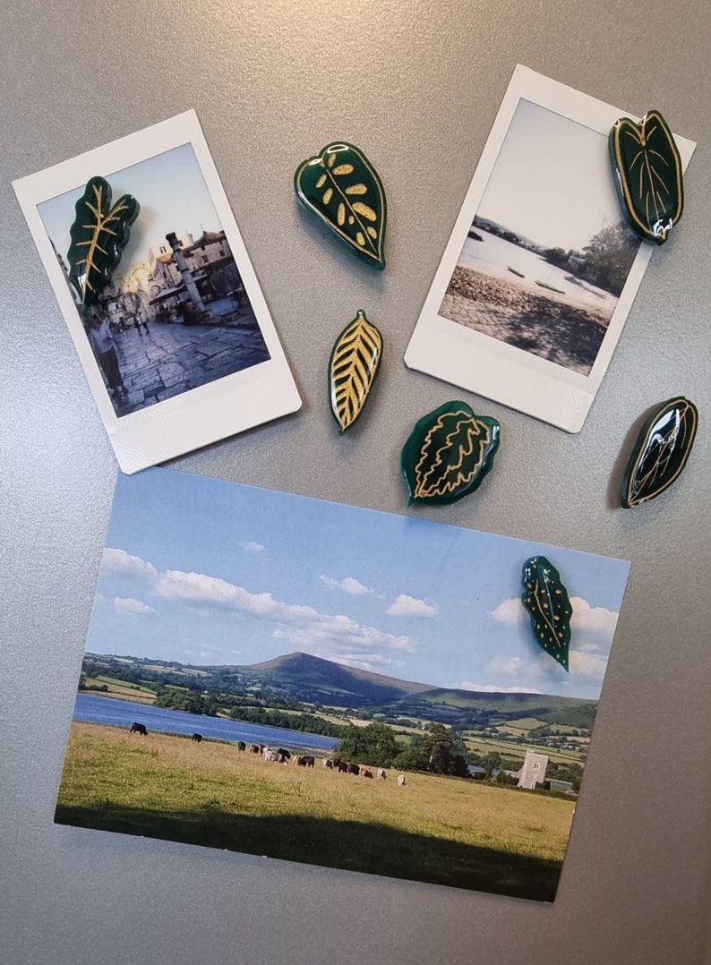 May include: A set of green and gold leaf-shaped magnets. The magnets are arranged on a silver surface with two photos in the background.