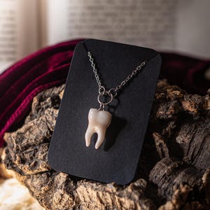 May include: A tooth-shaped pendant necklace. The pendant is a realistic, off-white molar, suspended from a silver-colored chain. The necklace is displayed on a black card against a textured, dark wood background, with a burgundy fabric in the background.