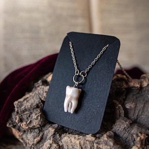 May include: A tooth-shaped pendant necklace. The pendant is a light beige color, with a silver-colored chain. The necklace is displayed on a black card, resting on a piece of wood. The background is blurred.