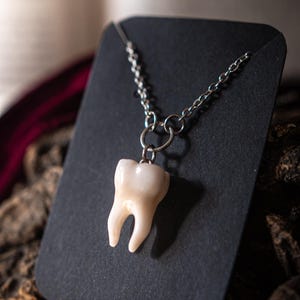 May include: A pendant necklace featuring a realistic tooth charm. The tooth is off-white and detailed, suspended from a silver-colored chain. The necklace is displayed on a black card against a textured, dark background.