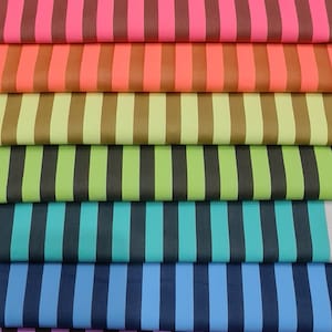 Neon True Colors Stripe/ Tula Pink by the meter