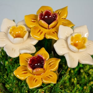 Könnte beinhalten: Eine Keramik-Blumenarrangement mit vier Narzissen mit gelben und weißen Blütenblättern. Die Blumen sind in einer grünen Moosbasis angeordnet.