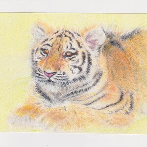 虎の絵、オリジナルの色鉛筆アートワーク、野生動物アート 虎の絵、オリジナルの色鉛筆アートワーク、野生動物アート