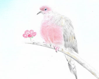 Original small size painting of a mourning dove, bird painting, wall art, wall decor