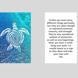 Tarjeta de billetera de tortuga- regalo de tarjeta de billetera - regalo de tortuga- regalo significativo