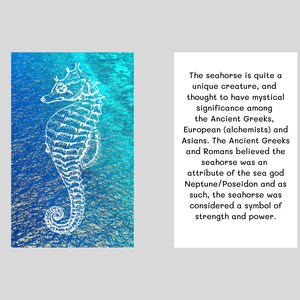 Tarjeta de billetera Seahorse- regalo de tarjeta de billetera