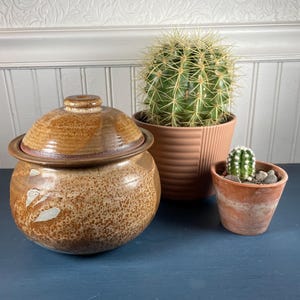 May include: A brown ceramic lidded jar with white leaf-like designs, next to a large cactus in a terracotta pot and a small cactus in a smaller terracotta pot. The jar and pots sit on a dark blue surface.