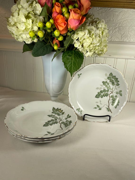 Shallow Bowl Versus Other Bowl Types