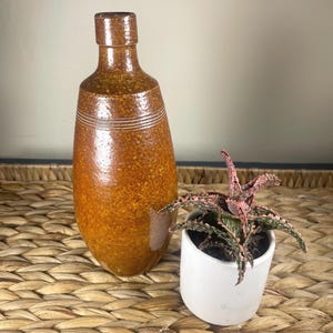 May include: A tall, amber-brown ceramic bottle with a speckled glaze and horizontal incised lines around the neck, positioned next to a small, white cylindrical planter containing a variegated succulent with pink and green spiky leaves.