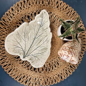 May include: A ceramic dish shaped like a large leaf with a cream-colored surface and dark green veining. Beside it sits a small succulent in a white pot and a large, spiraled, brown and white patterned seashell with a smooth, glossy finish.