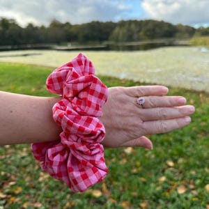 Pu&ograve; includere: Un elastico per capelli a scrunchie rosa e rosso indossato al polso.