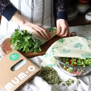 Beeswax Wraps — Large (Set of 2) — Eco-Friendly Food Storage