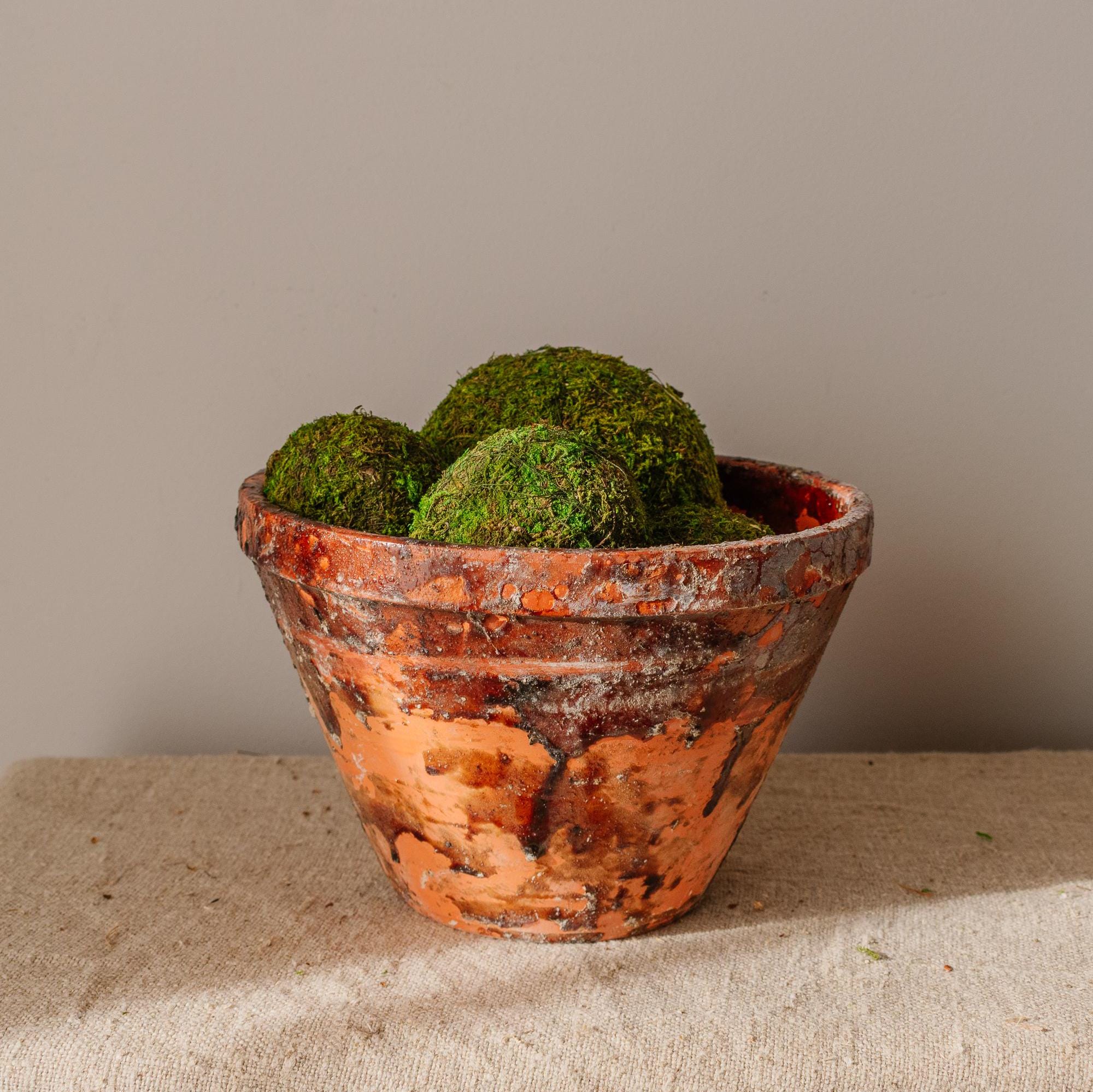 Authentic Vintage Big Resin Pot from France – Rustic Terracotta Sap Planter - Weathered Decorative Flower Pots - Garden and outdoor decor