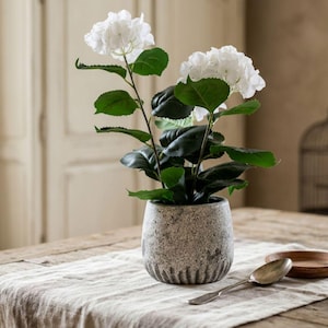 Op de afbeelding: Een witte hortensia plant met groene bladeren in een getextureerde grijze stenen pot. De plant staat op een houten tafel met een linnen tafelkleed. Een lepel en een klein houten bordje staan ook op de tafel.