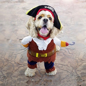 Funny Party Hats Disfraz de pirata para niños - 9 piezas - Juguetes piratas  - Accesorios piratas - Ropa de vestir