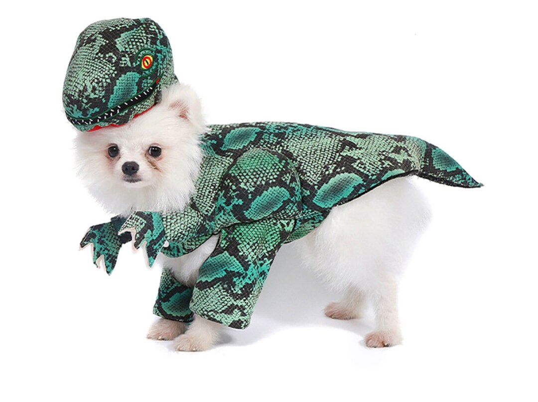Dinosaur Pet Dog Costume T-rex Costume Funny Halloween Cosplay - Etsy