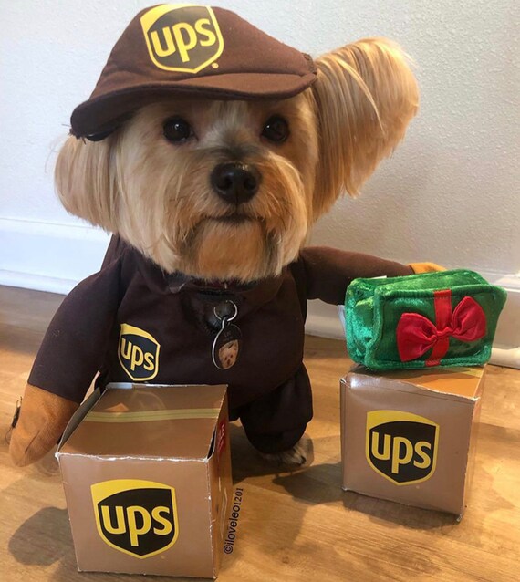 UPS Worker Dog Costume atelieryuwa.ciao.jp