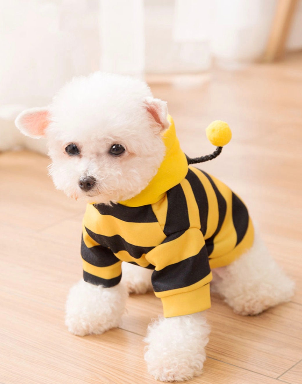 Pet Dog Halloween Cosplay Costumes Funny Dog Clothes Dogs Bee Etsy