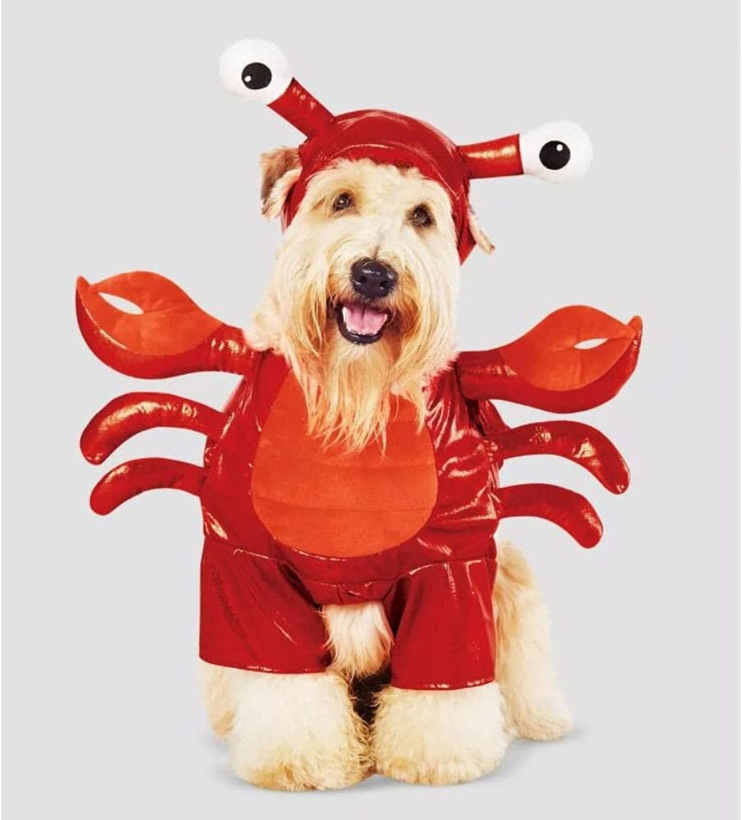 Dog Lobster Costume
 Pet Costume Lobster Costume Dog Funny Halloween Pet Dog Costumes Crab