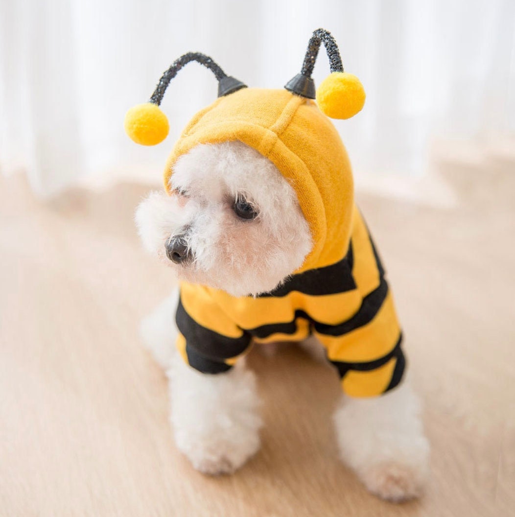 Pet Dog Halloween Cosplay Costumes Funny Dog Clothes Dogs Bee Etsy
