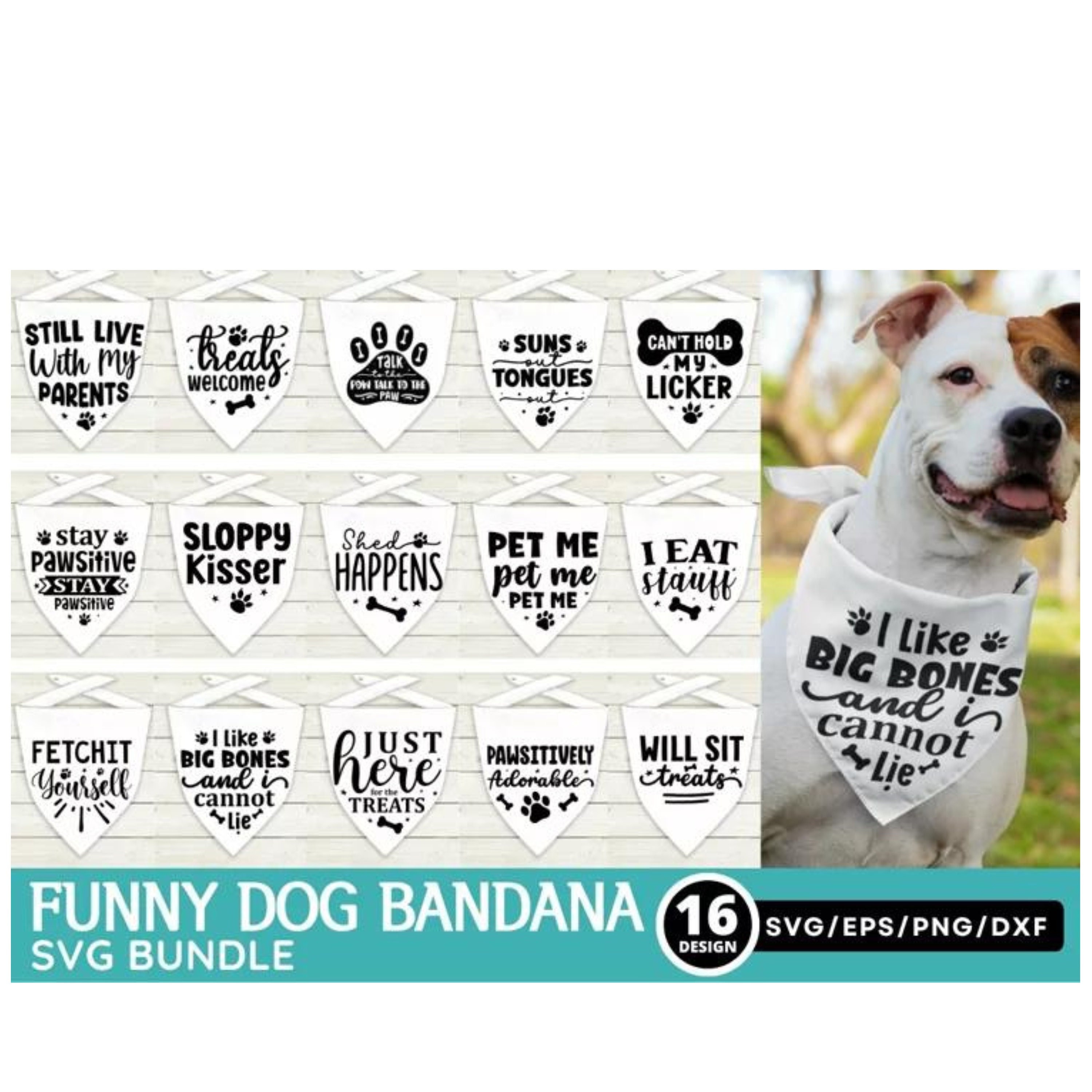 Funny Dog Bandana SVG Bundle, Pet Shirt Svg, Cute Dog Phrases, Will Sit for  Treats, Sloppy Kisser, Pet Me Png, Vinyl Decal File for Cricut