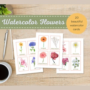 Flashcards de fleurs d'aquarelle | Cartes de fleurs | Identification des plantes | Éducation | Matériel de classe | Montessori