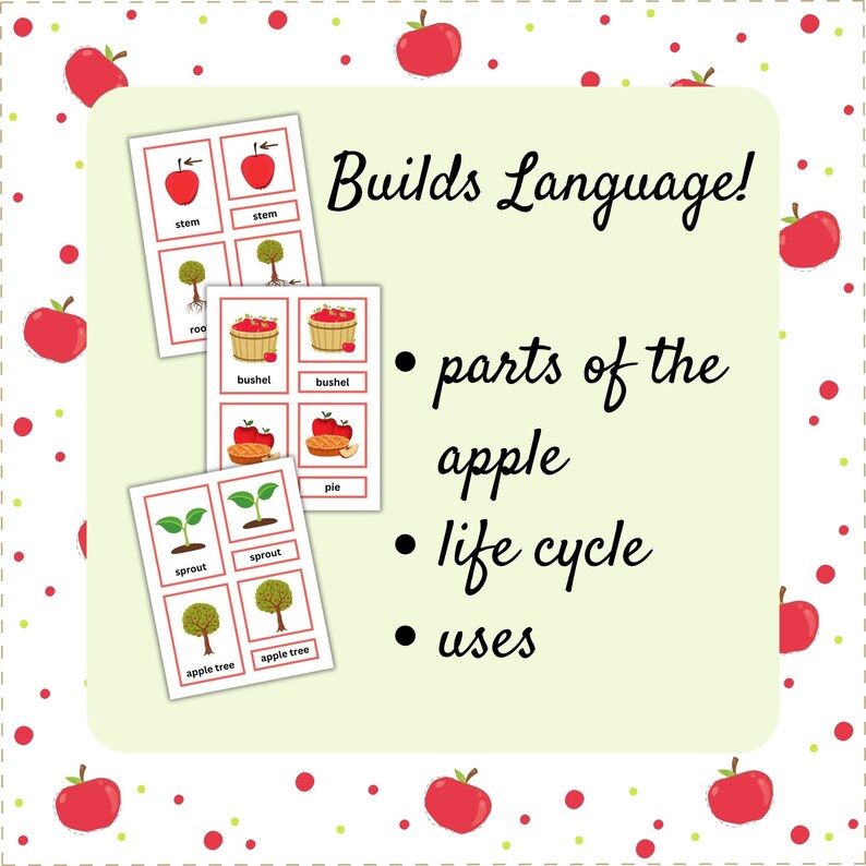 Apple Vocabulary 3 Part Cards | Montessori Language | Parts of the ...