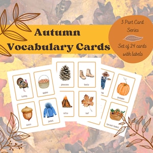 Autumn Vocabulary Cards | Fall Vocabulary | Montessori | Language | 3 Part Cards