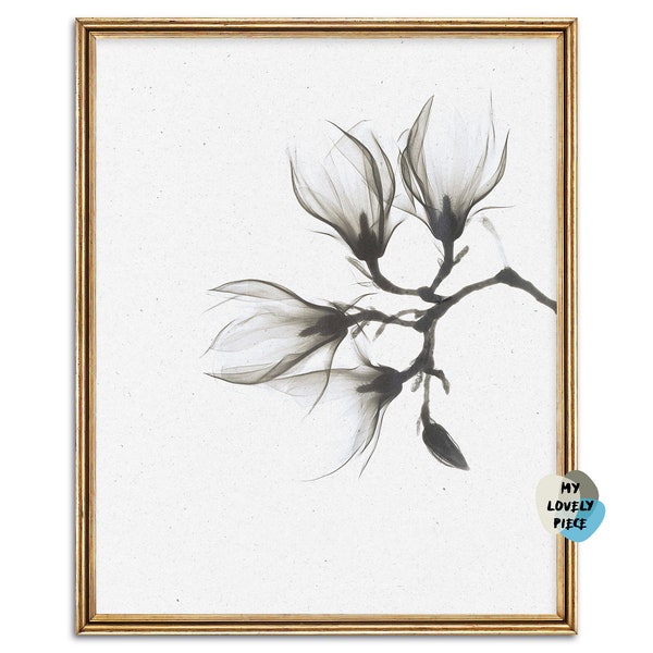 Ghostly Magnolia Flowers, Printable Photography Floral Wall Art - Instant Download