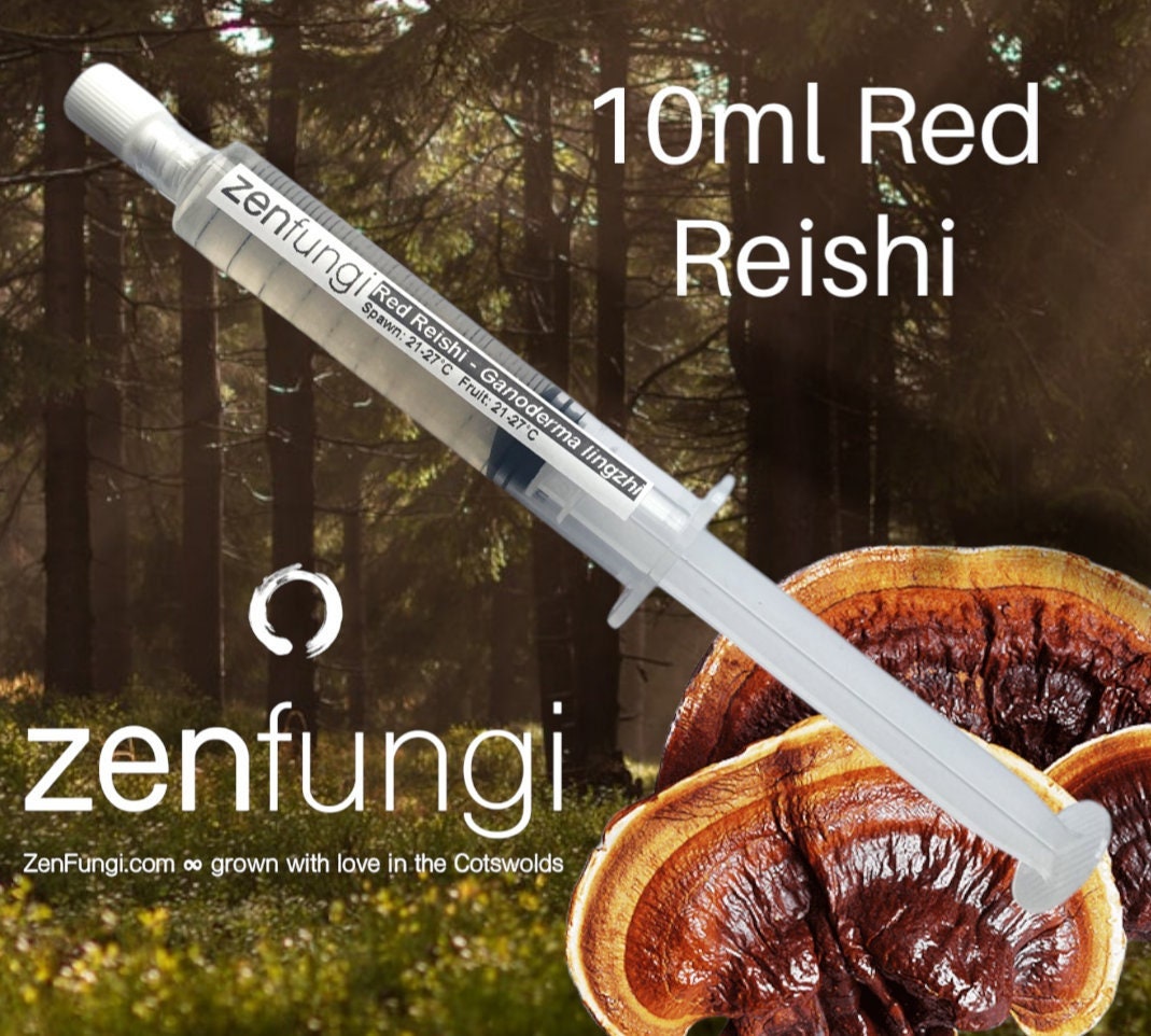 Red Reishi Mushroom Liquid Culture Ganoderma Lingzhi 10ml Syringe Etsy UK
