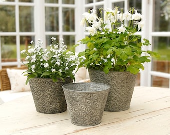 May include: Three gray metal flower pots with a starburst pattern, each holding a different type of white flower. The pots are sitting on a white wooden table.
