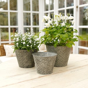May include: Three grey metal flower pots with a starburst pattern, each holding a different type of white flower. The pots are sitting on a white wooden table.