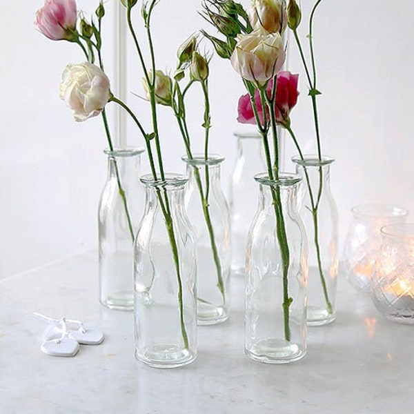 Mini Clear Glass Bottle Vase