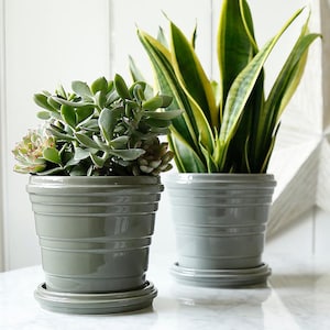 May include: Two potted plants, one with a succulent and the other with a snake plant, in grey ceramic pots with matching saucers. The pots have a ribbed design and are sitting on a white marble table.