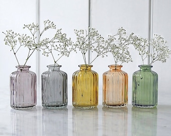 Little Lined Glass Bottle Vase Collection