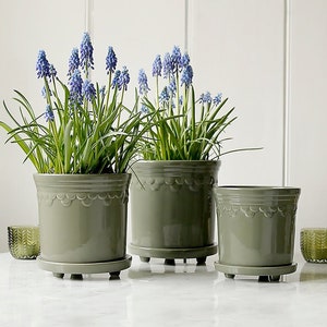 May include: Three green ceramic plant pots with a scalloped design and small feet. The pots are filled with green plants with blue flowers.