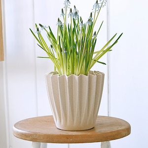 May include: A light blue flower arrangement in a cream-coloured, pleated ceramic planter. The planter is sitting on a wooden stool with white legs.