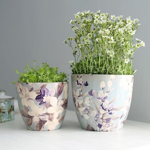 May include: Two ceramic flower pots with a floral pattern. The larger pot is light blue with white and purple flowers. The smaller pot is a light beige with white and purple flowers. Both pots are filled with green plants.