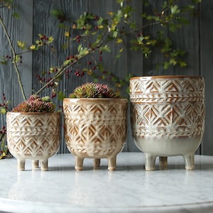 Auburn Glazed Raised Pot Collection