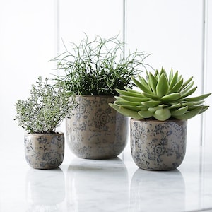May include: Three ceramic plant pots with a floral design in shades of grey and blue, each containing a different type of green plant. The pots are sitting on a white marble table.