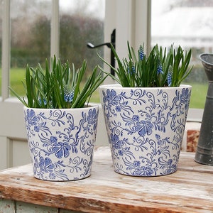 May include: Two white ceramic flower pots with blue floral designs. The pots are filled with green plants and blue flowers.