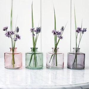 May include: Four small glass vases in pink, green, light pink, and purple, each with a single stem of purple flowers and green leaves.