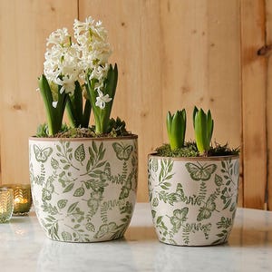 May include: Two ceramic plant pots with a cream base and a green butterfly and leaf design. One pot holds a blooming white hyacinth, the other has green shoots. The pots are on a white marble table.