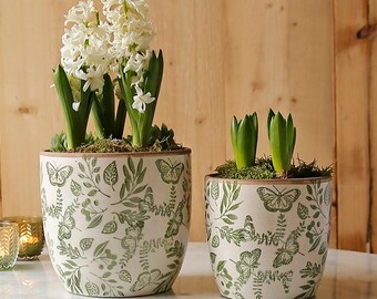 Botanicals and Butterflies Plant Pot