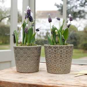 Green Botanical Pot